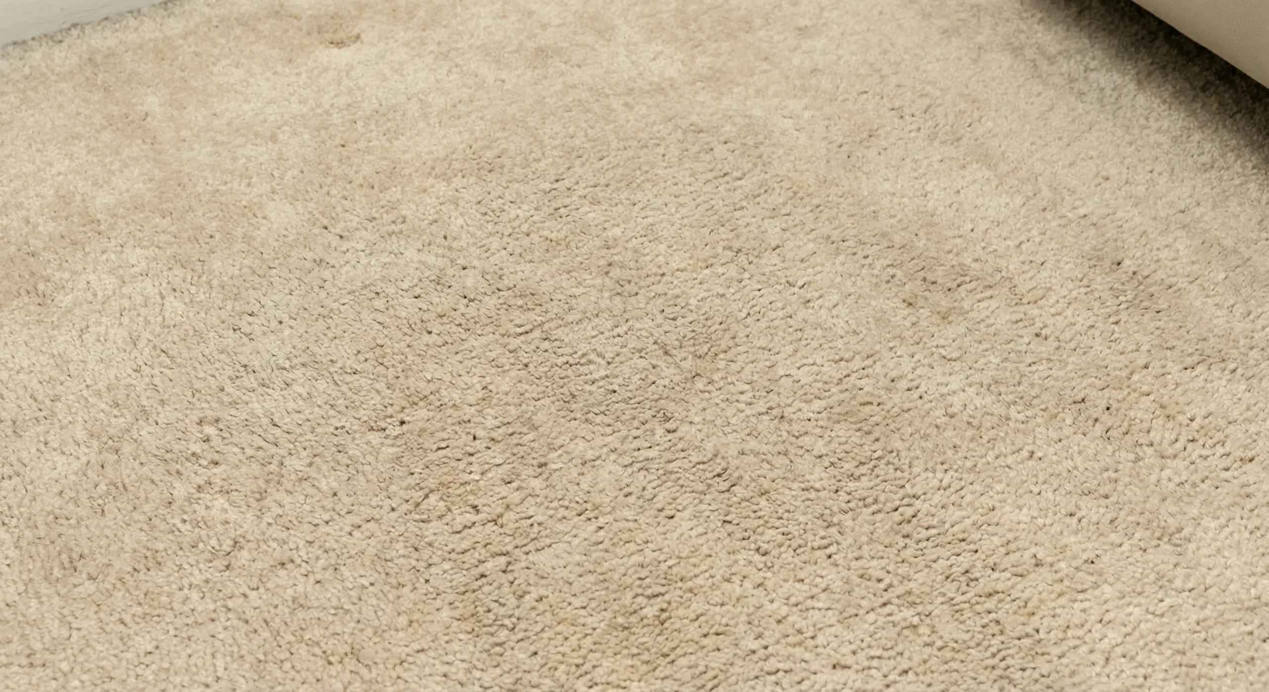 Clean Carpet
